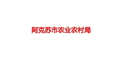 阿克苏农村